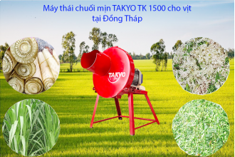 Máy thái chuối mịn TAKYO TK 1500 cho vịt tại Đồng Tháp. 